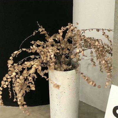 兽设节日场景创作兽圈群